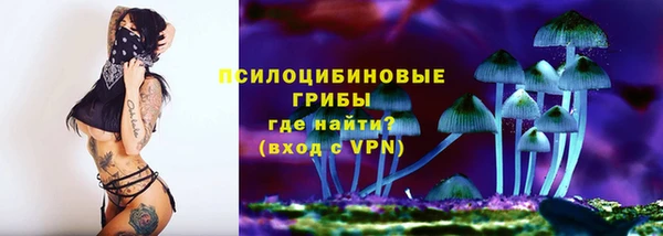шишки Балахна
