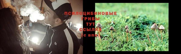шишки Балахна